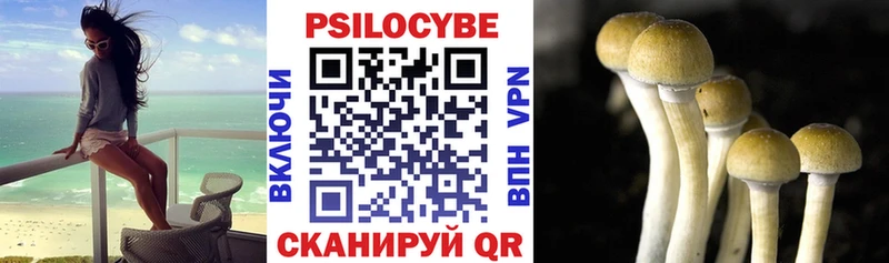 Купить закладки  Весьегонск  Галлюциногенные грибы мухоморы 